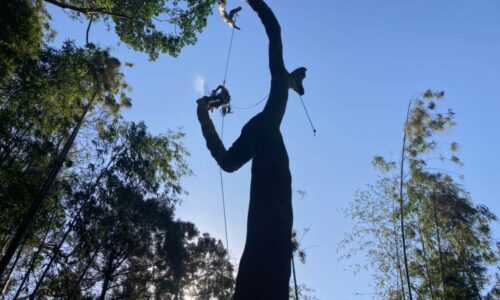 東邸　菊池市泗水町_210210_1